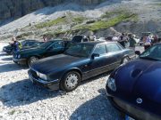 jaguar alle tre cime di lavaredo (3/26)